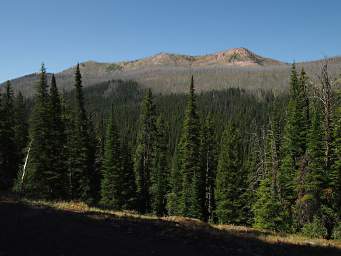 View from Charlie Young's Cabin