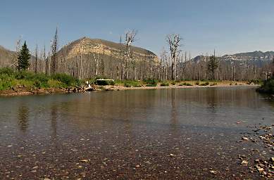 South Fork Flathead