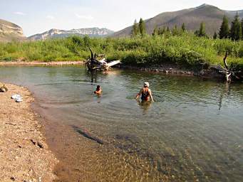 Zia and Dona Swimming, South Fork Flathead