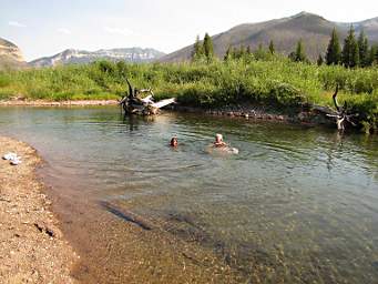 Zia and Dona Swimming, South Fork Flathead