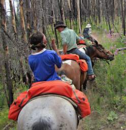 Gary, Adin and Zia on the Trail