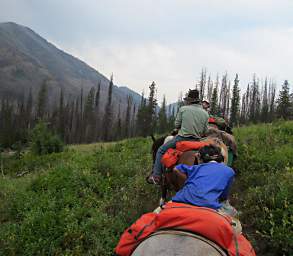 Gary, Adin and Zia on the Trail