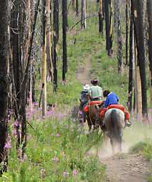 Gary, Adin and Zia on the trail