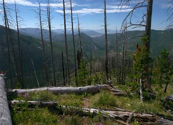 NFk Blackfoot Valley