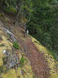Dona, near Gorge Dam