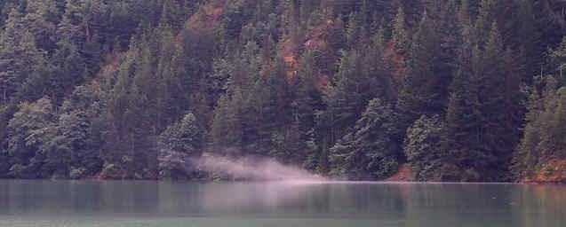 Skagit River Mist