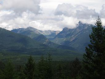 Cabinet Mountains from Ross Creek Cedars