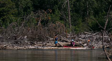 Log Jam