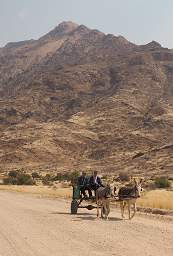 Brandberg Mtn Donkey Cart