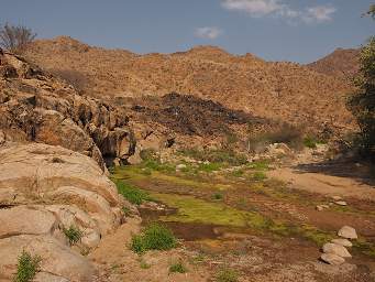 Brandberg Mtn Creek