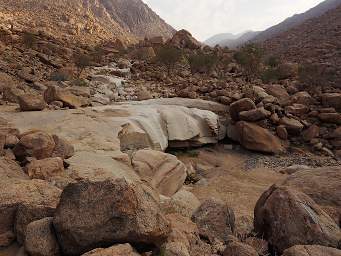 Brandberg Mtn Creekbed