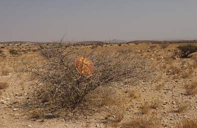 Brandberg Mtn Gem Stones Sign