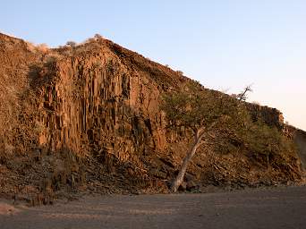 Organ Pipes