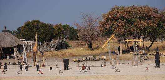 Etosha