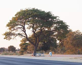 Roadside Table