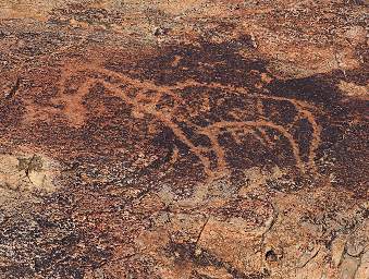 Huab Peet Alberts Koppie Rock Art