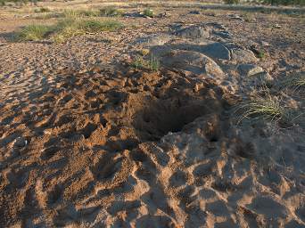 Huab Dug Water Hole