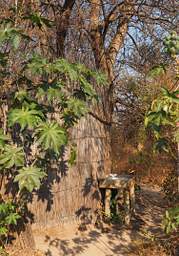 Mahango Ngepi Camp Washbasin