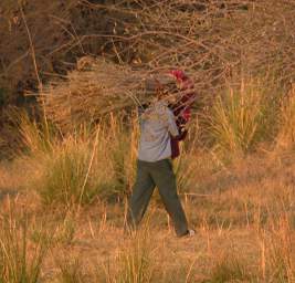 Man Carrying Millet