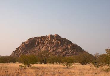 Petrified Forest Kopje