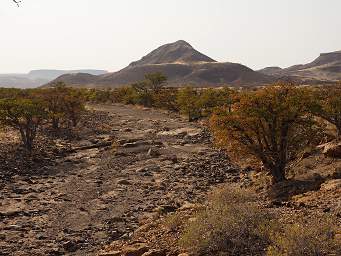 Petrified Forest Dry River