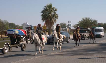 Funeral Horses