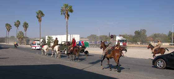 Funeral Horses