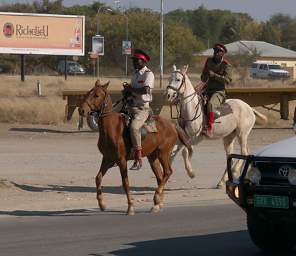 Funeral Horses