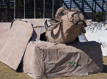 Ongwediva Fair Float Cape Buffalo