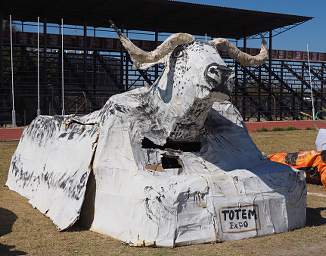 Ongwediva Fair Float Cape Buffalo