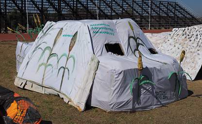 Ongwediva Fair Float Millet