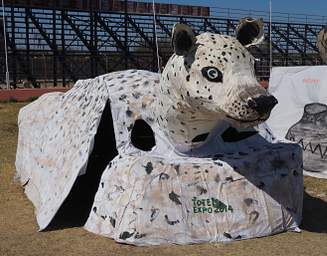 Ongwediva Fair Float Hyena