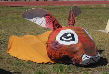 Ongwediva Fair Float Hare