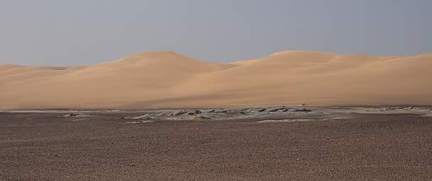 Skeleton Coast