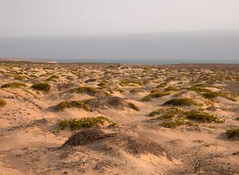 Skeleton Coast Near Shore