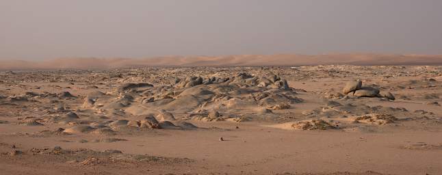 Skeleton Coast