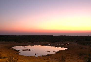 WT Etosha Waterhole Sunrise