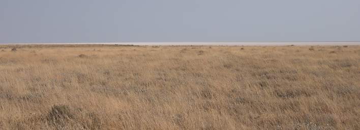 WT Etosha Salt Pan