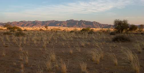 Namib Naukluft