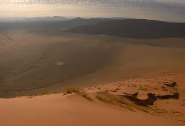 Namib Naukluft Sossusvlei Dune Grass
