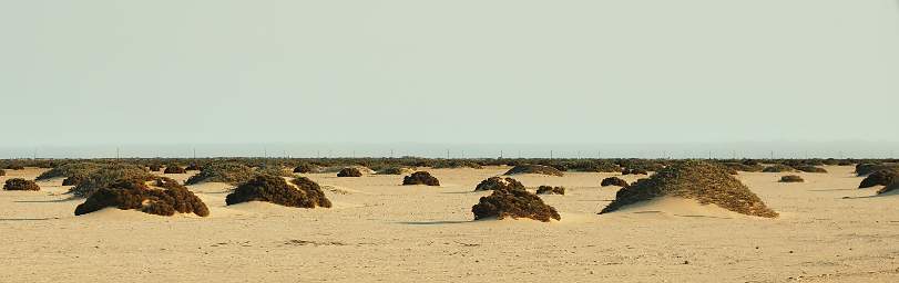 Swakop Coast