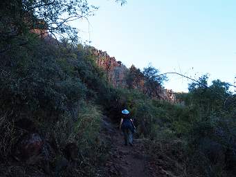 Waterberg Dona