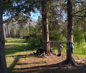 Waders Drying