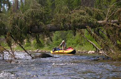 Youngs Cr Guiding Boat Under Tree