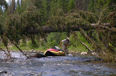 Youngs Cr Guiding Boat Under Tree