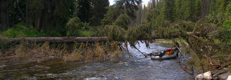 Youngs Cr Guiding Boat Under Tree