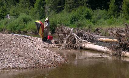 Youngs Cr Logjam Portage