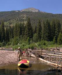 Youngs Cr Logjam Portage