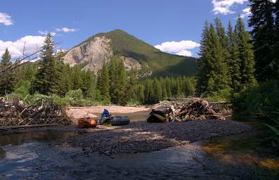 Youngs Cr Logjam Portage
