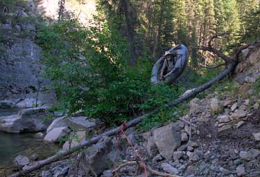 Youngs Cr Canyon Log Portage